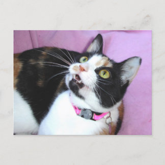 Cartão Postal antecipação