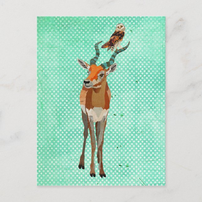 Cartão postal ANTELOPE e OWL (Frente)