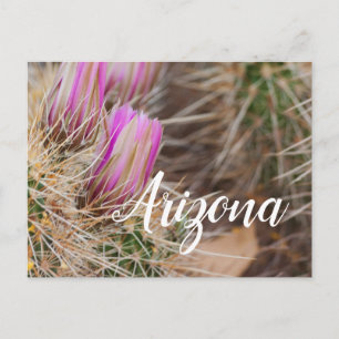 Cartão Postal Antes que floresça, Arizona