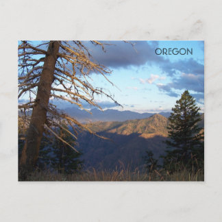 Cartão Postal Antes que seja mais quente que...