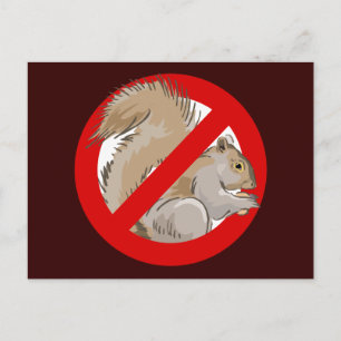 Cartão Postal Anti-esquilo