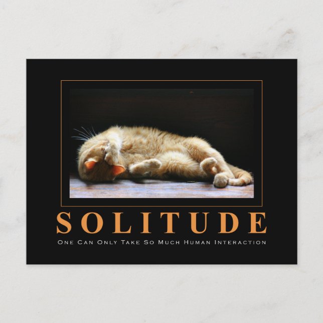 Cartão Postal Anti-Motivação para Fotografia de Gato SOLITUDE (Frente)