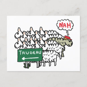 Cartão Postal Anti-Trudeau