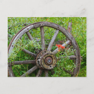 Cartão Postal Antiga roda de vagão na antiga cidade aurífera his