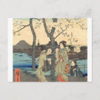 Antigas japonesas sob as flores de cerejeira