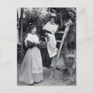 Cartão postal antigo - Arles, Les Arlésiennes