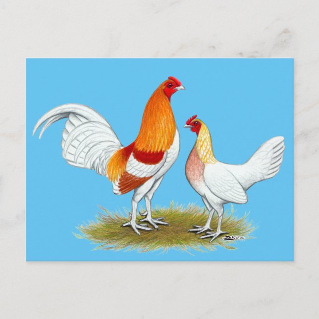 Cartão Postal Antigo Bantam do Jogo Inglês:  Estilo Vermelho (Frente)
