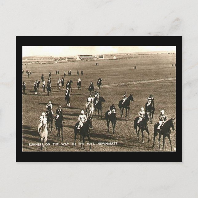 Cartão Postal Antigo - Cavalos de Corrida em Newma (Frente)
