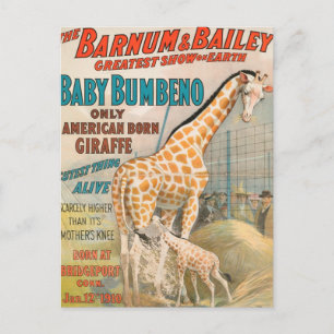 Cartão Postal Antigo : circo Barnum & Bailey -
