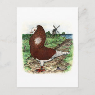 Cartão Postal Antigo Coletivo Neerlandês