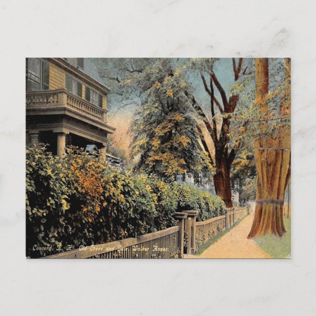 Cartão postal antigo - Concord New Hampshire (Frente)