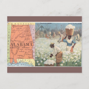 Cartão Postal Antigo da Colheita de Algodão no Ala