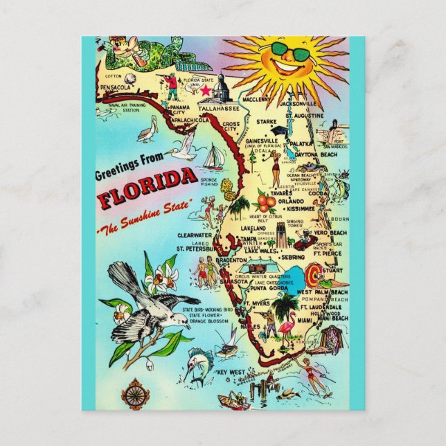 Cartão Postal Antigo da Flórida com Bordas (Frente)