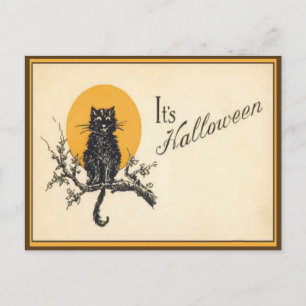 Cartão Postal Antigo de Gato de Halloween