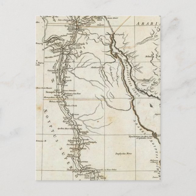 Cartão Postal Antigo Egito 4 (Frente)