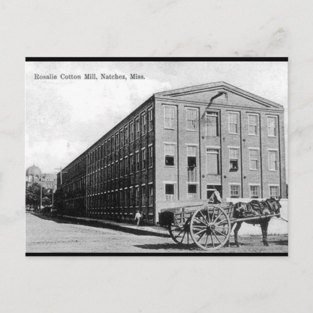 Cartão postal antigo - Natchez, Mississippi (Frente)