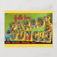 Cartão postal antigo Parrot Jungle Miami