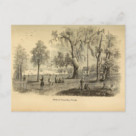 Cartão Postal Antigo Tampa Bay