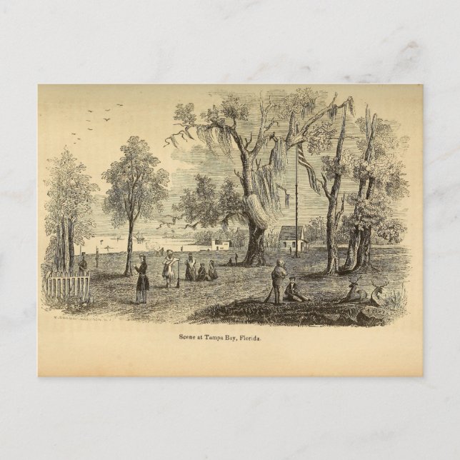 Cartão Postal Antigo Tampa Bay (Frente)