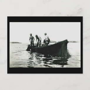 Cartão Postal Antigo - Terra Nova, Pesca do Bacal