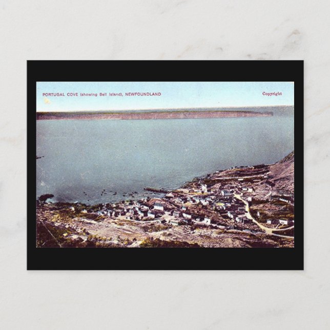 Cartão postal antigo - Terra Nova, Portugal Cove & (Frente)