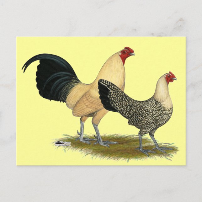 Cartão Postal Antigos Copos de Creme Inglês (Frente)