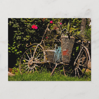 Cartão Postal Antiguidade da arizona