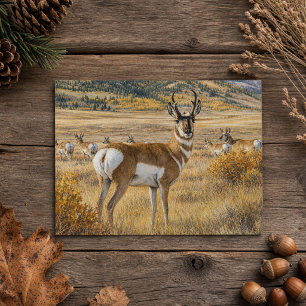 Cartão Postal Antilope Pronghorn de Dakota do Sul Vida Selvagem