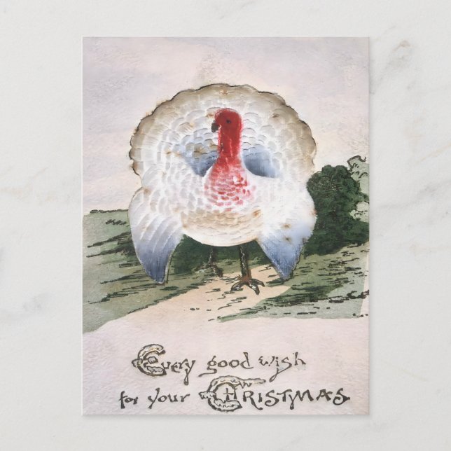 Cartão Postal Antique Christmas Turkey (Frente)