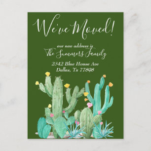 Cartão Postal Anunciamos Cactus Desert Cactos