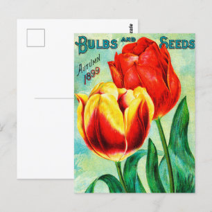 Cartão Postal Anúncio Antiquado de Jardim, Tulipas Amarelas Verm
