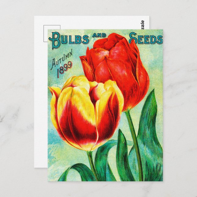 Cartão Postal Anúncio Antiquado de Jardim, Tulipas Amarelas Verm (Frente/Verso)