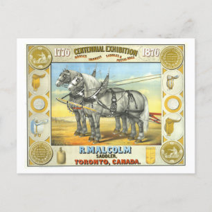 Cartão Postal Anúncio de exposição Saddler Centennial