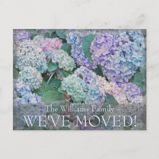 Cartão Postal Anúncio de Movimentação Floral de Hidrangea Azul V (Frente)