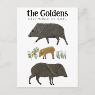 Cartão Postal ANÚNCIO DE MUDANÇA Família Javelina Deserto Texas