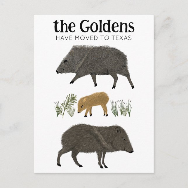 Cartão Postal ANÚNCIO DE MUDANÇA Família Javelina Deserto Texas (Frente)