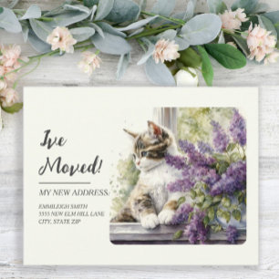 Cartão Postal Anúncio de Mudança Gato Janela Flores de Lavanda