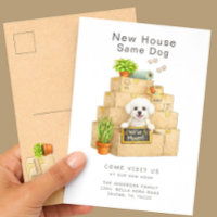 Anúncio de Mudança para Nova Casa do Bichon Frise