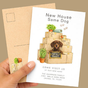 Cartão Postal Anúncio de Mudança para Nova Casa do Chocolate Lab