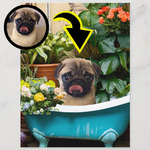 Cartão Postal Anúncio de Nascimento de Cachorrinho Personalizado