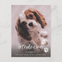 Anúncio de novo cachorrinho, Adoção de cães adulto