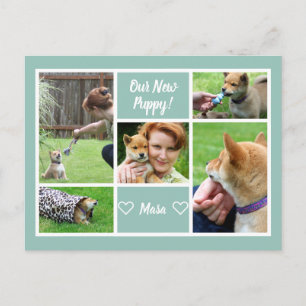 Cartão Postal Anúncio de Pet da Família de Colagem de Fotograf