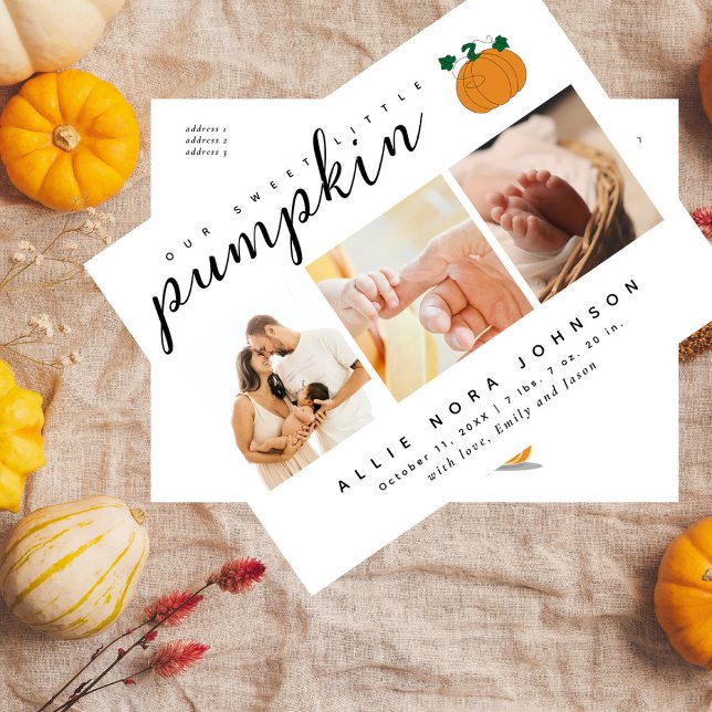 Cartão Postal Anúncio de Queda de Foto de Pumpkin Doce (Criador carregado)
