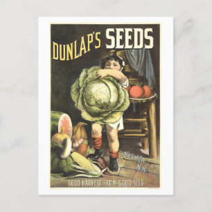 Cartão Postal Anúncio de sementes vegetarianas de Dunlap
