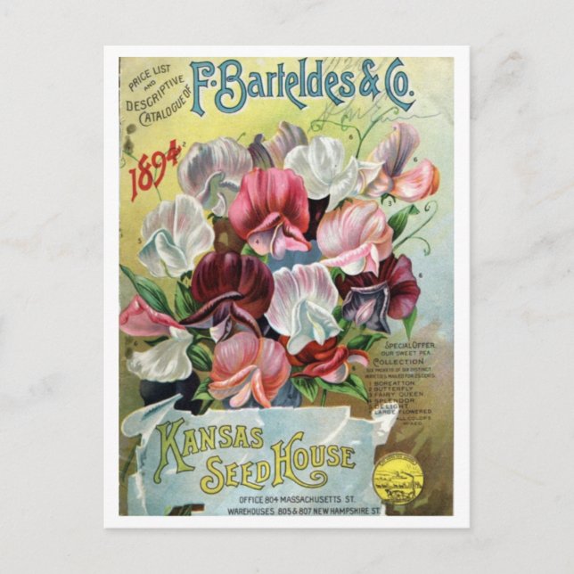 Cartão Postal Anúncio De Sementes Vintage (Frente)
