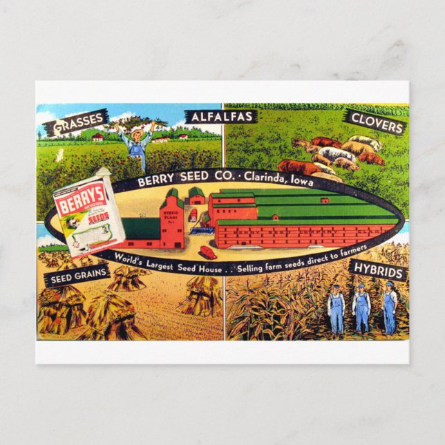 Cartão Postal Anúncio De Sementes Vintage (Frente)