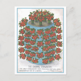 Cartão Postal Anúncio de vindima para morango normal