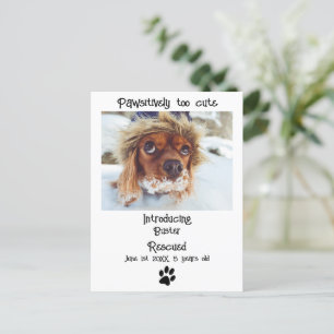 Cartão Postal Anúncio do novo Pet Dog