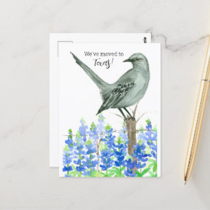Cartão Postal Anúncio em movimento Texas Mockingbird Bluebonnets