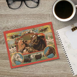 Cartão Postal Anúncio Ofemeral De Animais De Exploração